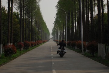 LIY_1718