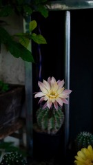 8A91298F-D075-42D6-9217-A93D3A9EE532/L0/001