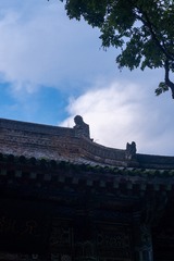DA735B49-534A-45CD-83D9-6EDDD735F34A/L0/001