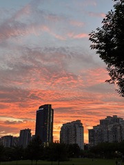 0E7042EB-A3EA-42BE-A2B1-B5A1DC6D06A7/L0/001