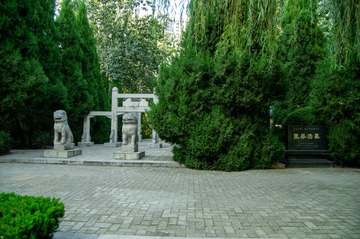 IMGP3755