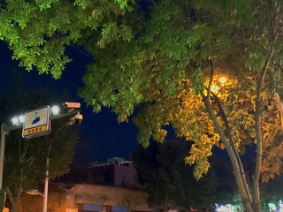 1536EF81-CA00-40C1-B075-9CF9B3D41703/L0/001