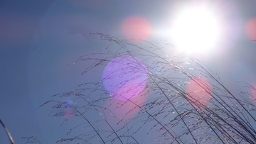 EA013D48-F50F-465E-A11B-3C93E9111AE1/L0/001