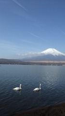 57502652-2288-41A4-8E01-5654962FB20A/L0/001