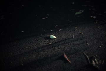 D4D255A7-2E25-4DA7-8D65-3C362A20907C/L0/001