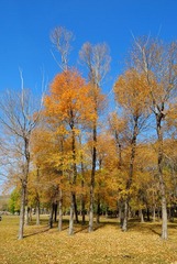 DSC_2184.jpg
