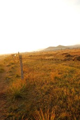 DSC_2099.jpg