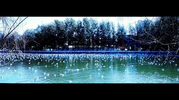 XPAN151黑边SRGB