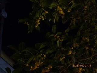 6E741F02-FB49-46C1-9D05-A6C5DF5ABF0B/L0/001