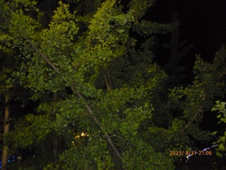 9C32368D-8749-42E8-A892-18A342A19836/L0/001
