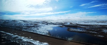 DSC_4540.jpg