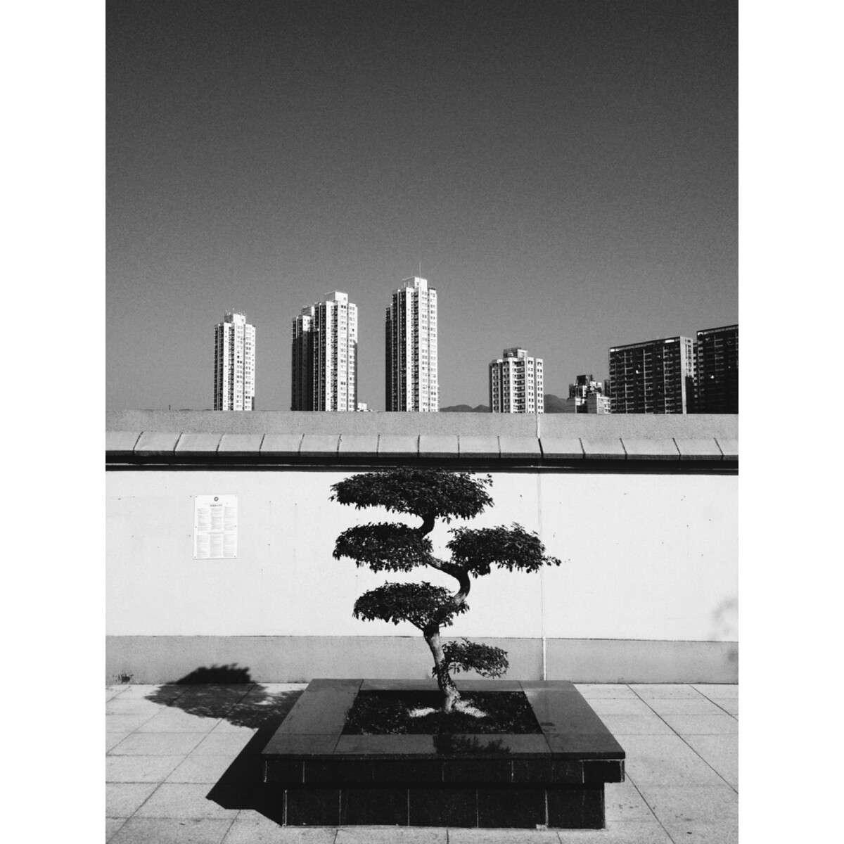 contrast