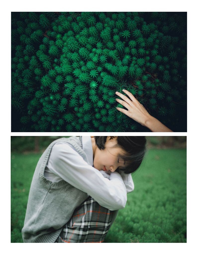 出镜：@Monkey_姨
