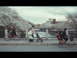 一个女孩，单身，到恋爱，再到成家
