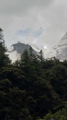 1200729