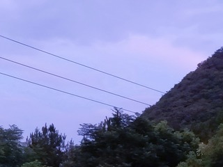 1769827