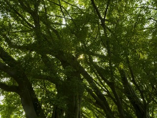 120703