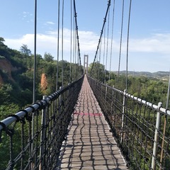 1000016736
