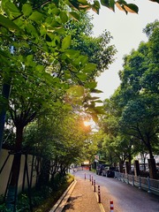 B7D7D717-1651-414B-8284-76CE5CFBF3D3/L0/001