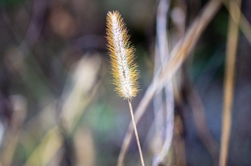 1FD191C8-B10C-4B36-8017-B390DF0B1C47/L0/001