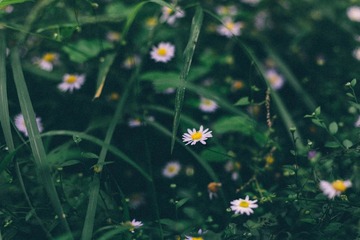 07060ABC-A0AB-4715-B72B-1DDFCAFE1D69/L0/001