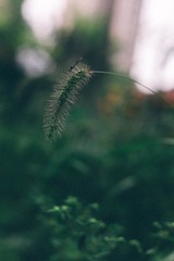 D759D572-5555-4140-9903-6B3A952D75C6/L0/001