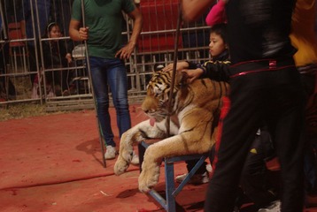 IMGP2980.JPG
