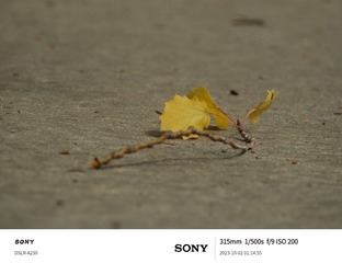 1000003412