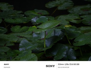 1000003585
