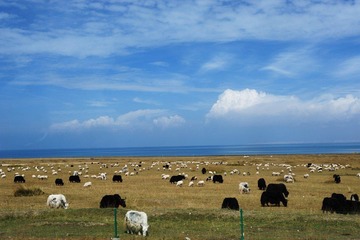 DSC_0966.JPG