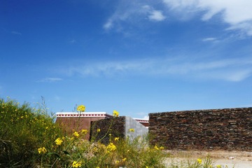 DSC_0993.JPG