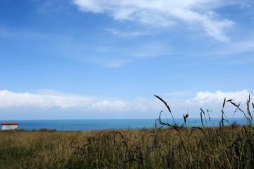 DSC_1006.JPG