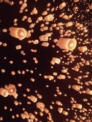 A23C07B6-05D0-43A2-89BA-3101E8DD5F56/L0/001