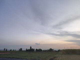 1000446762