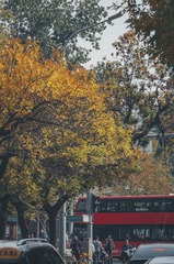 A1D46C2B-9603-48A9-858B-60A7424A68AD/L0/001