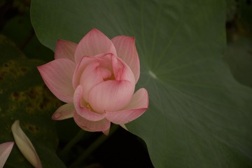596389D7-FCF9-4C74-B009-BD6288ABE597/L0/001