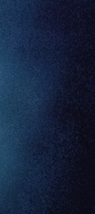 1000010162