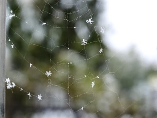 380DDA67-1778-4D7F-8510-769F6C55B017/L0/001