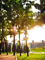 DSC00021-3.jpg