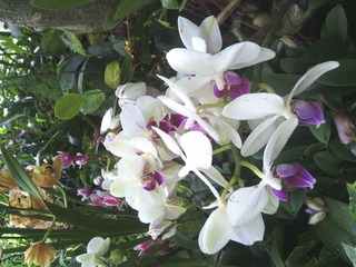 IMG_20120321_131622.jpg