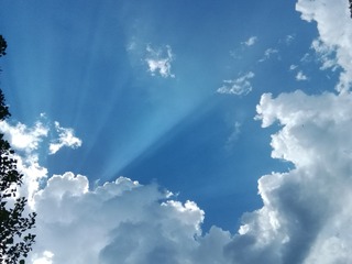 35436