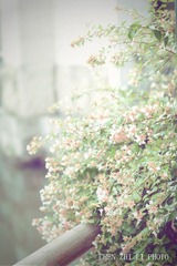 IMG_6640副本.jpg