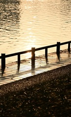 3C094C62-FACD-41B3-99CB-53BF8497F6EB/L0/001