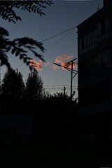 1126540