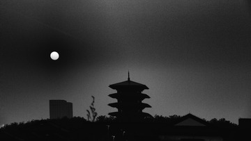 1000019571
