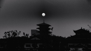 1000019572