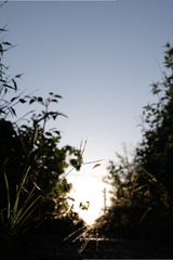 ED1BF818-1E01-4C90-984F-C9599E6AE736/L0/001