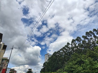 1000006709