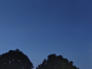 1000009604