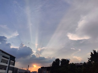 1000009771